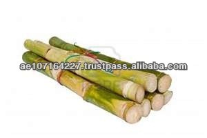 Fresh Sugar Cane